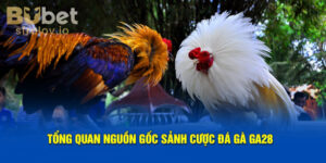Đá Gà GA28 là gì? Vì sao lại được ưa chuộng trong đá gà online?